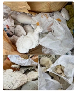 长期出售全漂pp机头料