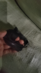 长期大量出售氨纶碎布，氨纶拉丝料，月供百来吨