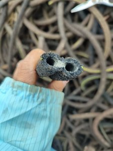 长期大量出售养虾厂换下来的纳米管废料