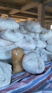 长期出售氨纶干丝