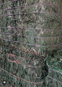 长期出售绿色pet打包带，现货40多吨，无铁扣