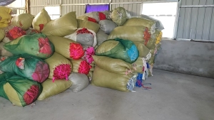 大量出售涤纶废布，涤纶碎布，涤纶布碎，涤纶三色布，浅色