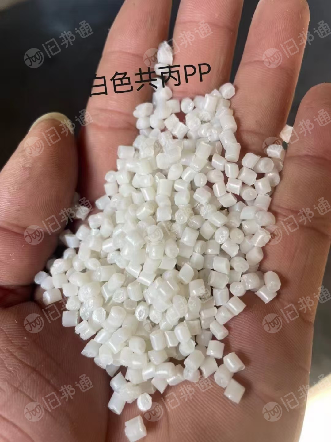 长期出售PP颗粒，水果筐颗粒，过80目