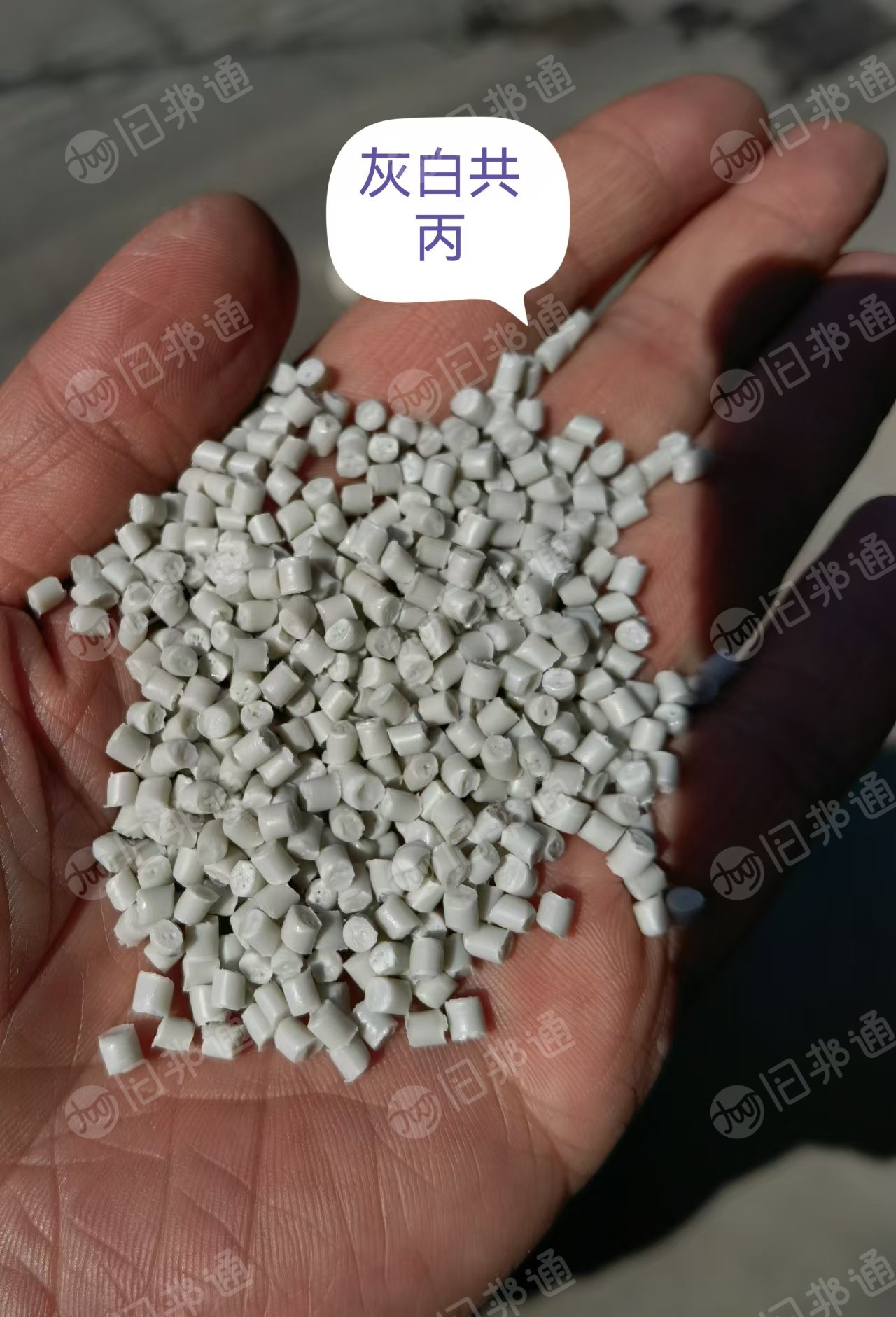 长期出售PP颗粒，水果筐颗粒，过80目