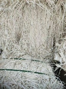 长期出售无膜白卡纸边料，白芯卡