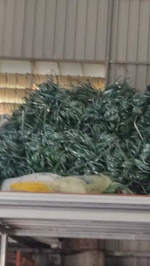 长期出售PET打包带毛料