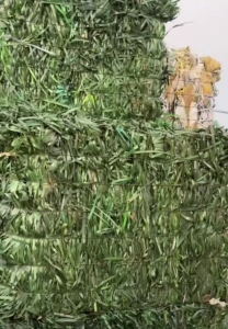 出售PET打包带废料