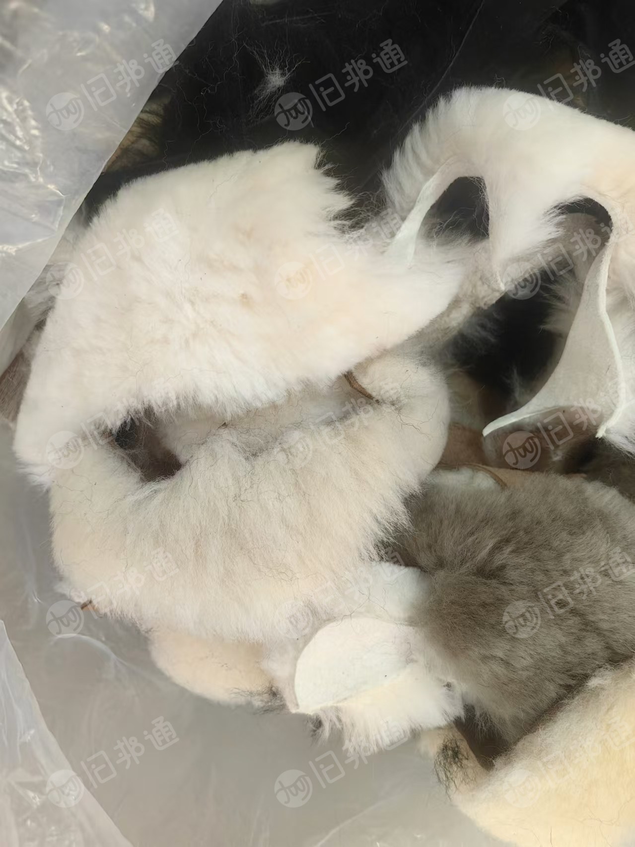 长期出售羊毛皮边角料,每月有10吨左右,货在河南焦作