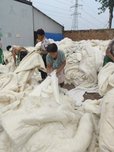 长期大量出售开松好的学生棉，再生棉，现货9.6米一车