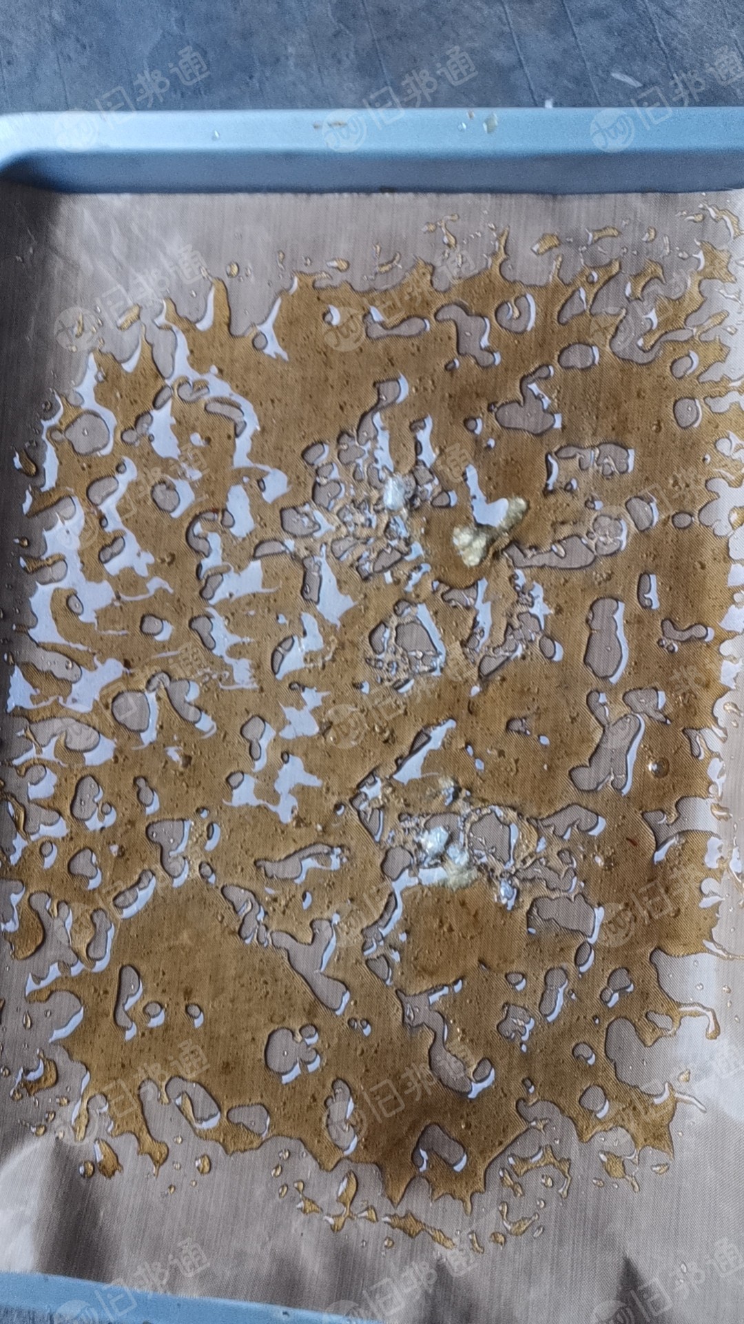 长期出售电子厂无胶PET膜破碎料,涂层片清洗的,超高温可拉丝用