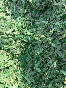 长期出售PET打包带破碎料，月供200吨 