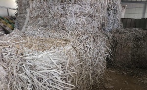 出售全漂PP乳白打包带，现货十来吨，够六米八的车