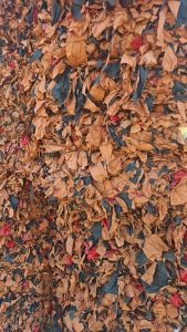 出售果袋纸废料