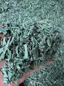 长期出售PET打包带粉碎料,厂货
