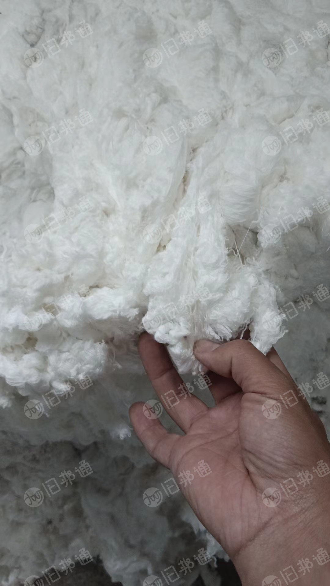 长期出售粘涤混纺车肚和回丝,粘胶80涤20,每月40-50吨,货在河南郑州