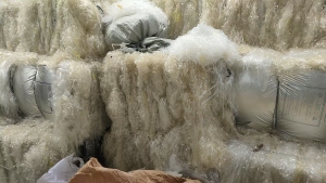 出售电子条，复合料不含pet，现货20多吨