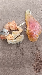 出售生产保鲜膜下来的高压PE机头料，长期供货