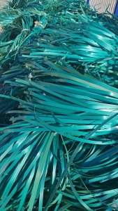 长期出售PET打包带，棉花打包pet包装带