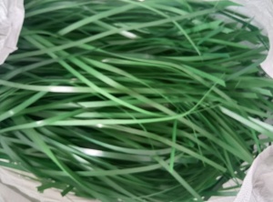 长期出售PET打包带废料