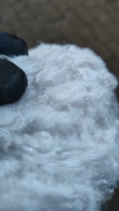 长期出售二白开花料，每月几十吨，货在河北保定