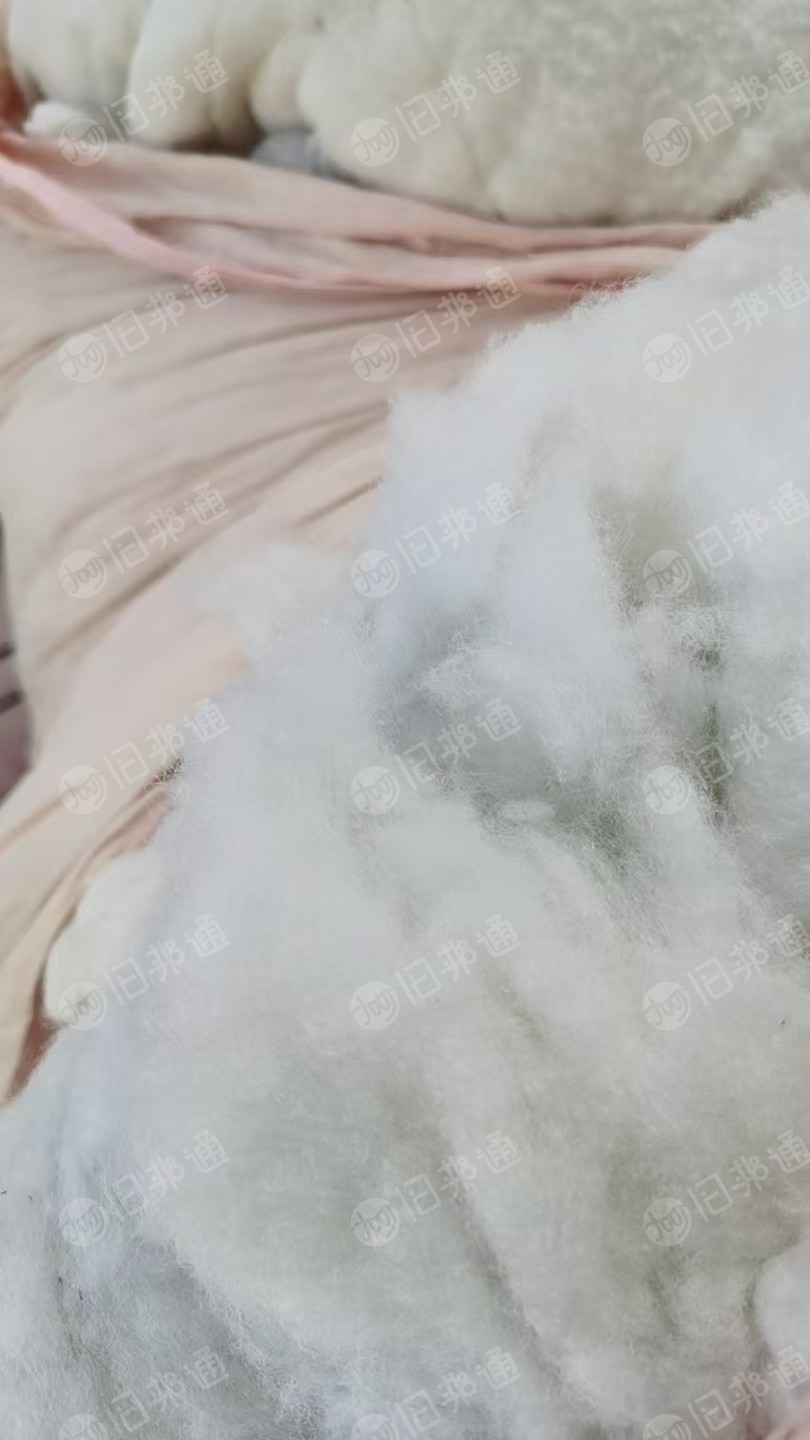 出售纯白丝绵,枕头被子布娃娃里面的棉,可以长期供货,没有垃圾,上海