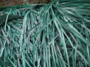 出售PET打包带毛料，现货9.6一车