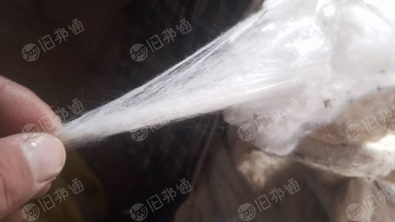 出售桑蠶絲下腳料，蠶被下來的，貨在河南西平縣