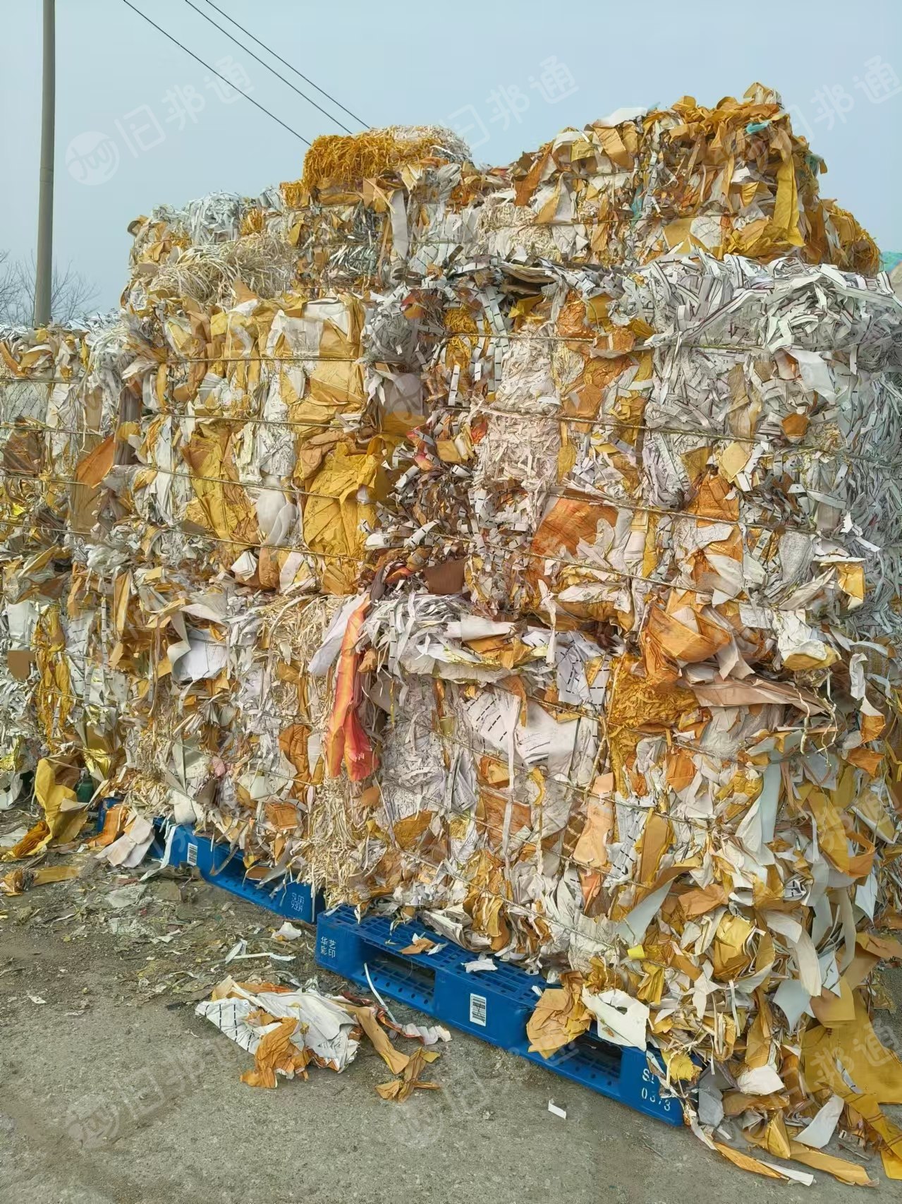 长期出售水松纸压包料