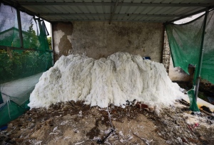 出售涤纶废丝废布，涤纶水丝