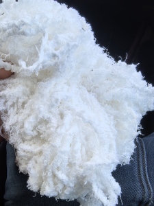 出售氨纶水丝，氨纶废丝，含水20-30左右，月供70吨左右，货在江西上饶