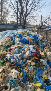 出售肉联厂膜，杂膜，可炼油，现货13米高栏一车