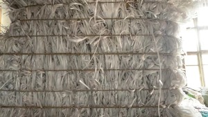 出售透明PP打包带毛料，现货15吨左右