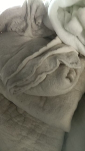 出售丝棉被，现货一吨，货在安徽阜阳界首  