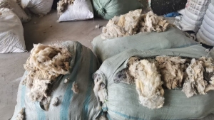 长期出售羊毛，现货10吨左右，货在河北邯郸
