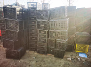 出售水果筐破碎料，黑色现货30吨，也有白色蓝色