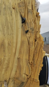 大量出售汽车内饰海绵，海绵废料，现货20吨左右，厂在江苏徐州