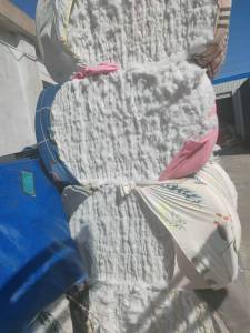 长期出售开松好的大化，大白棉，二维的大化，中空专业填充枕头用的