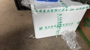 出售废旧泡沫箱,菌业批发批发厂下来的,长期供货