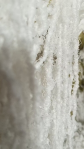 长期出售脱完水的氨纶废丝，氨纶丝，现货四五十吨左右