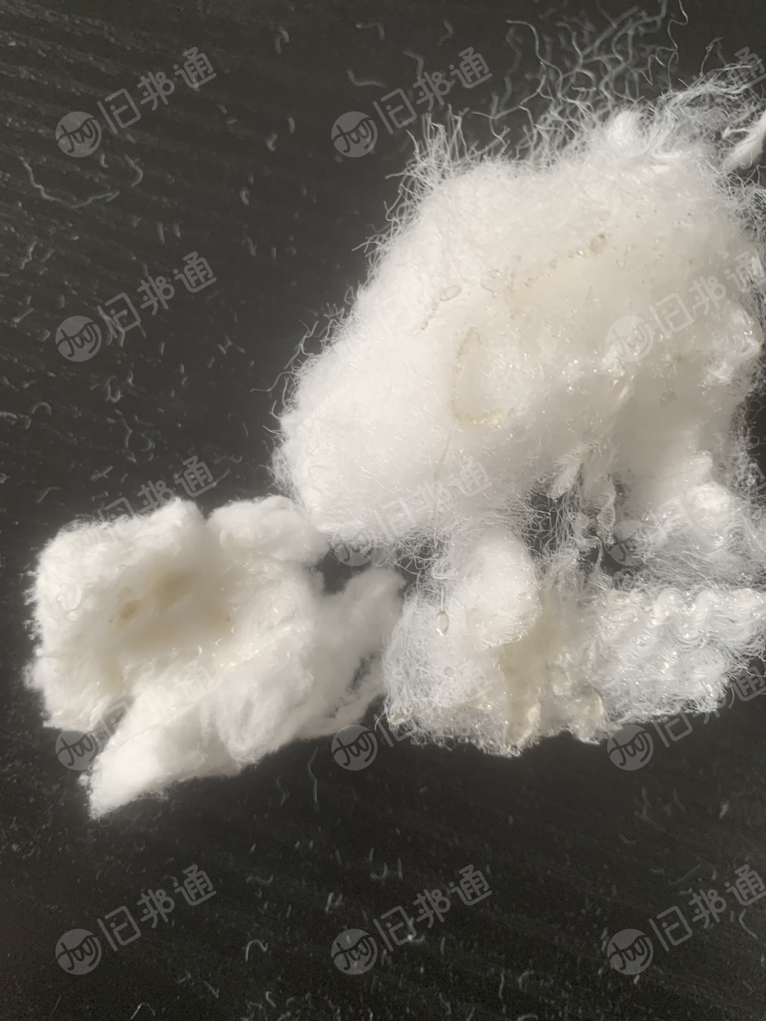 出售PLA玉米纤维短纤