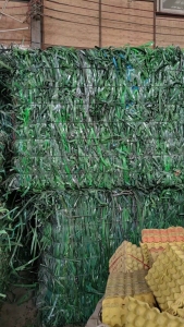 长期出售pet打包带，现货不到20吨