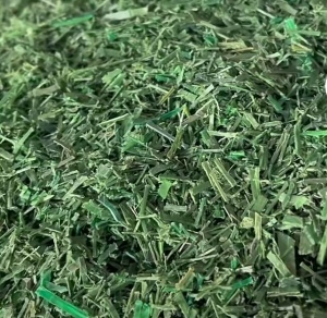 出售绿色PET打包带破碎料，干粉的，现货十几吨