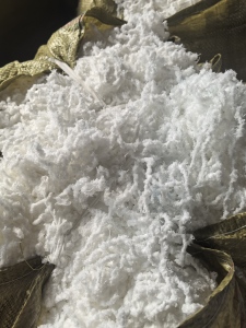 长期出售氨纶水丝，氨纶废丝，含水40%左右，货在江西上饶