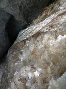 出售杂膜破碎料，现货7-8吨左右