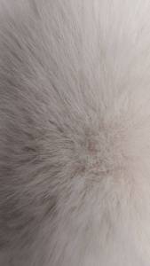 长期出售涤纶颗粒料，发泡料，拉丝料，现货200吨