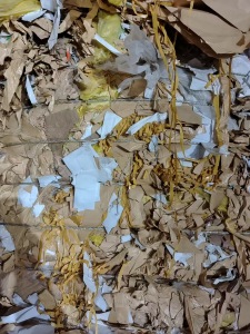 长期出售牛皮淋膜纸废料