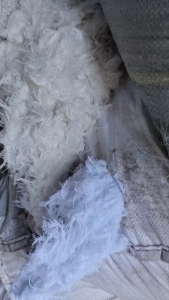 大量出售漂白，二白的大化布边，涤棉布边纱，现货9.6米一车