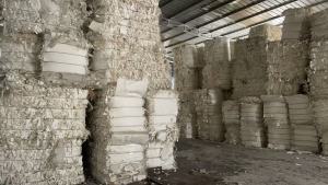 长期出售口杯纸边料，纯白、小花、大花、本色都有