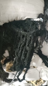 长期出售花纱，现货十几吨，压好包的，货在广东广州