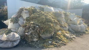 免费送纸厂废料，蛋托厂下来的纸渣塑料纸